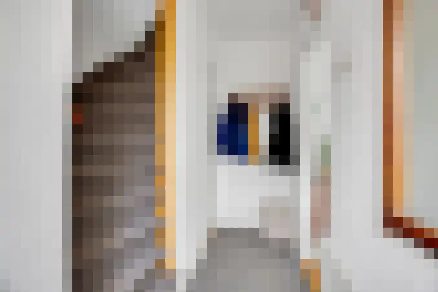 Passestraat 7 Elburg thumbnail 4