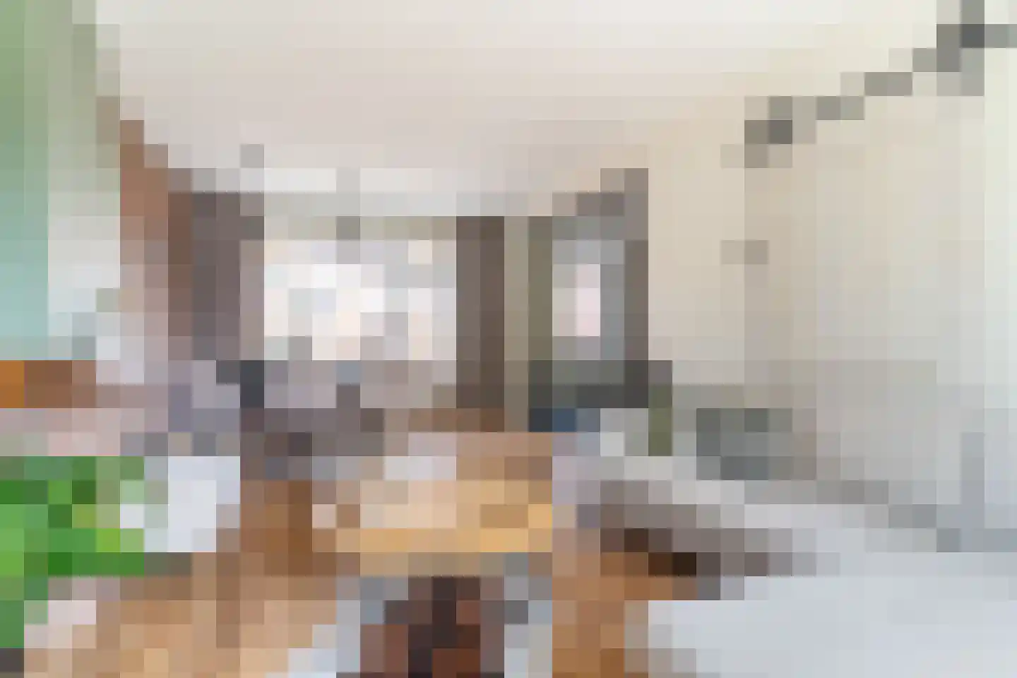 Passestraat 8 Elburg thumbnail 17