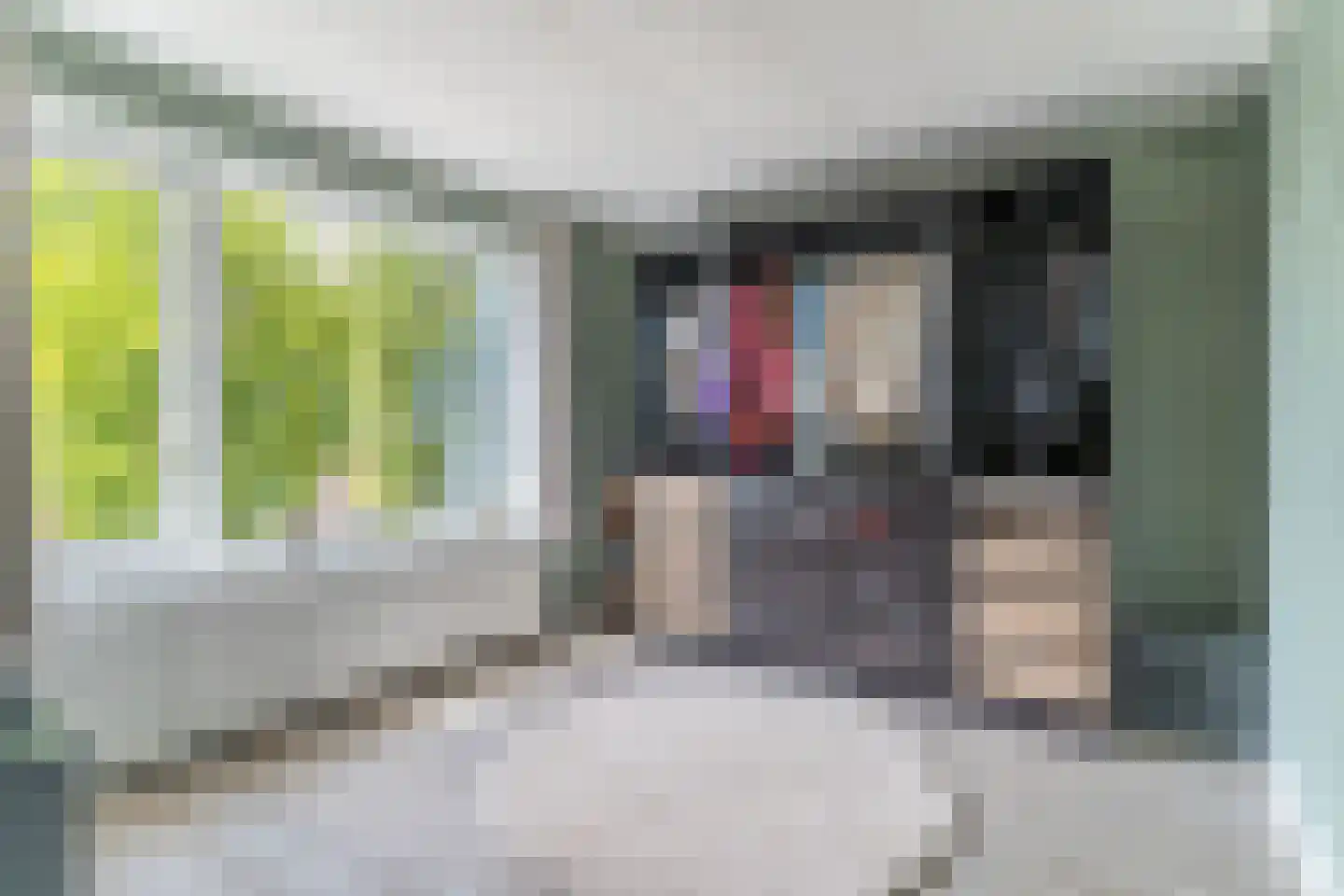 Passestraat 8 Elburg thumbnail 28