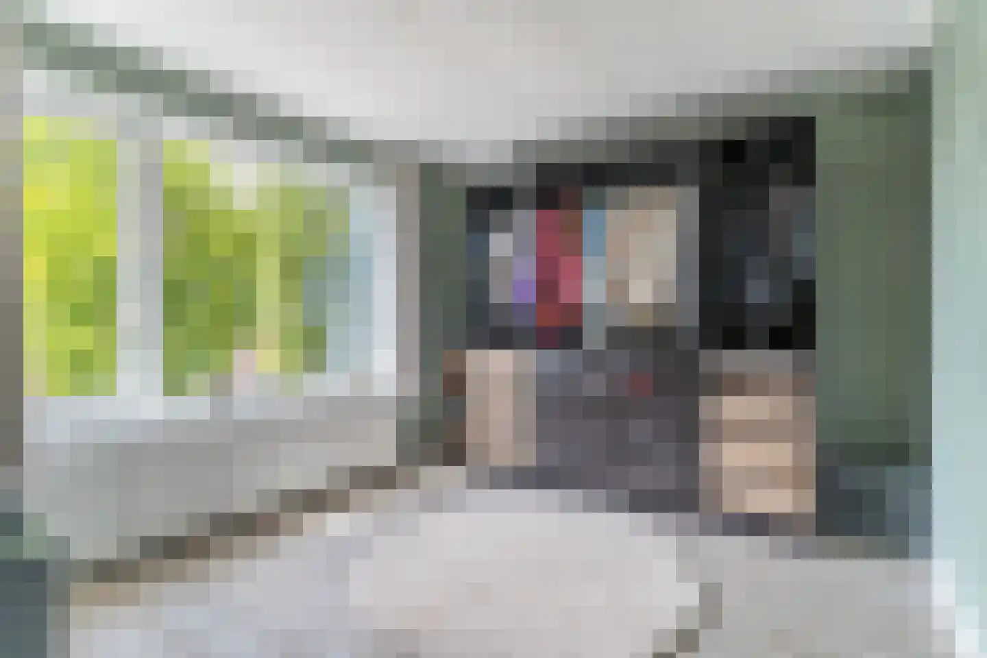 Passestraat 8 Elburg thumbnail 9