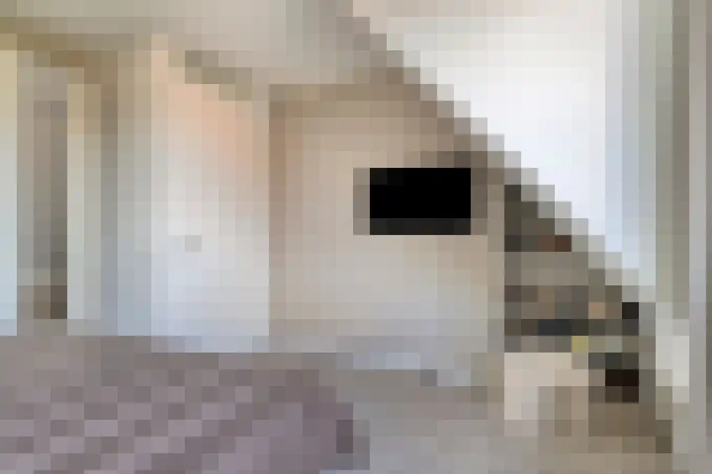 Passewaaij 8 b Beneden-Leeuwen thumbnail 18