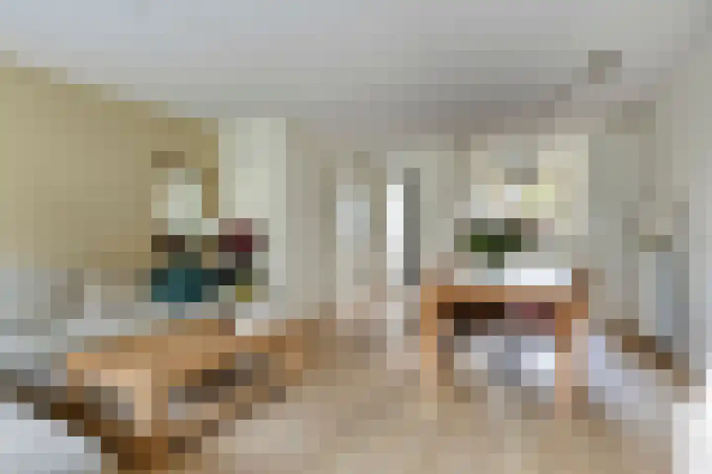 Passewaaij 8 b Beneden-Leeuwen thumbnail 7