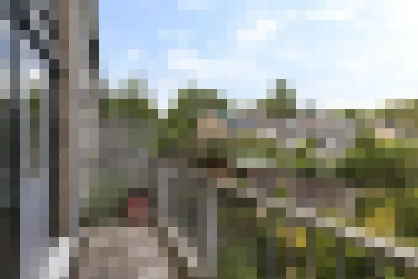 Passiebloem 14 Rotterdam thumbnail 16
