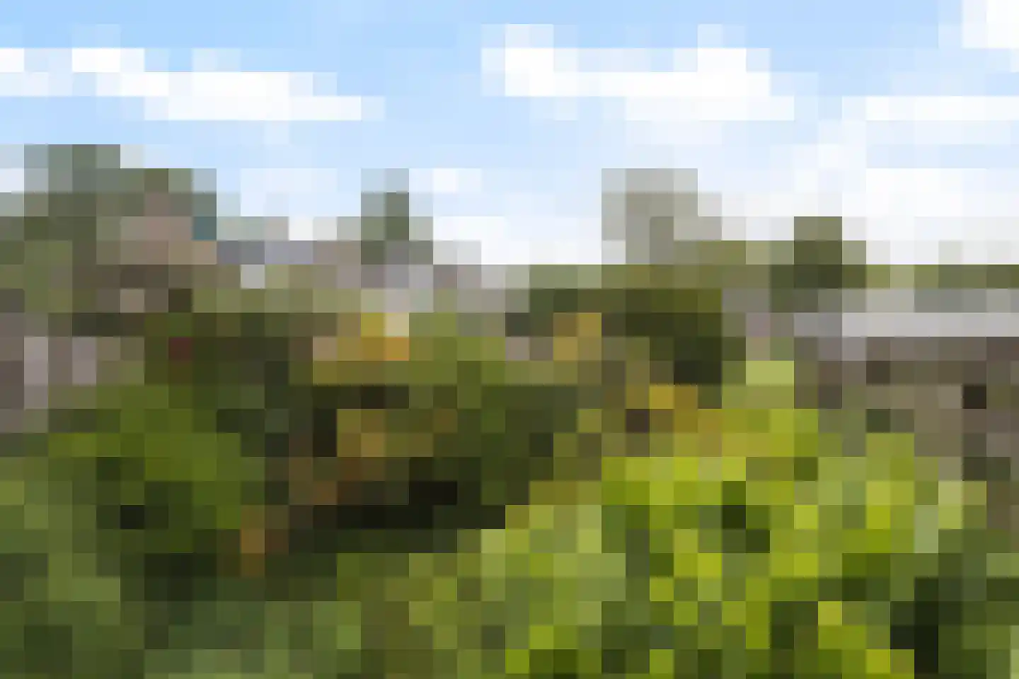 Passiebloem 14 Rotterdam thumbnail 24