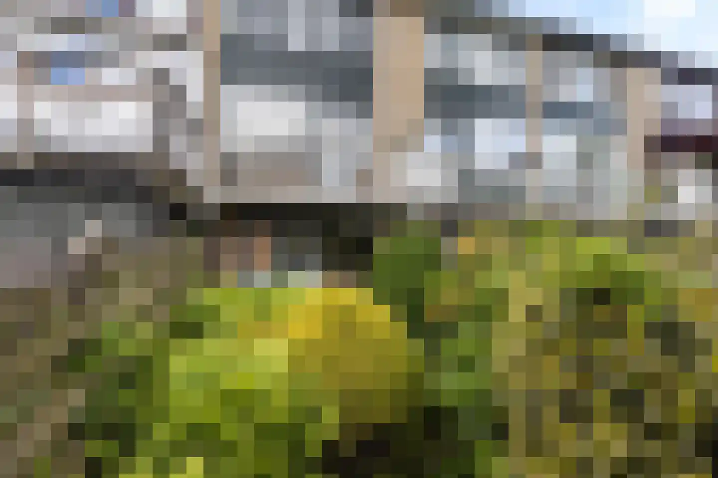 Passiebloem 14 Rotterdam thumbnail 26