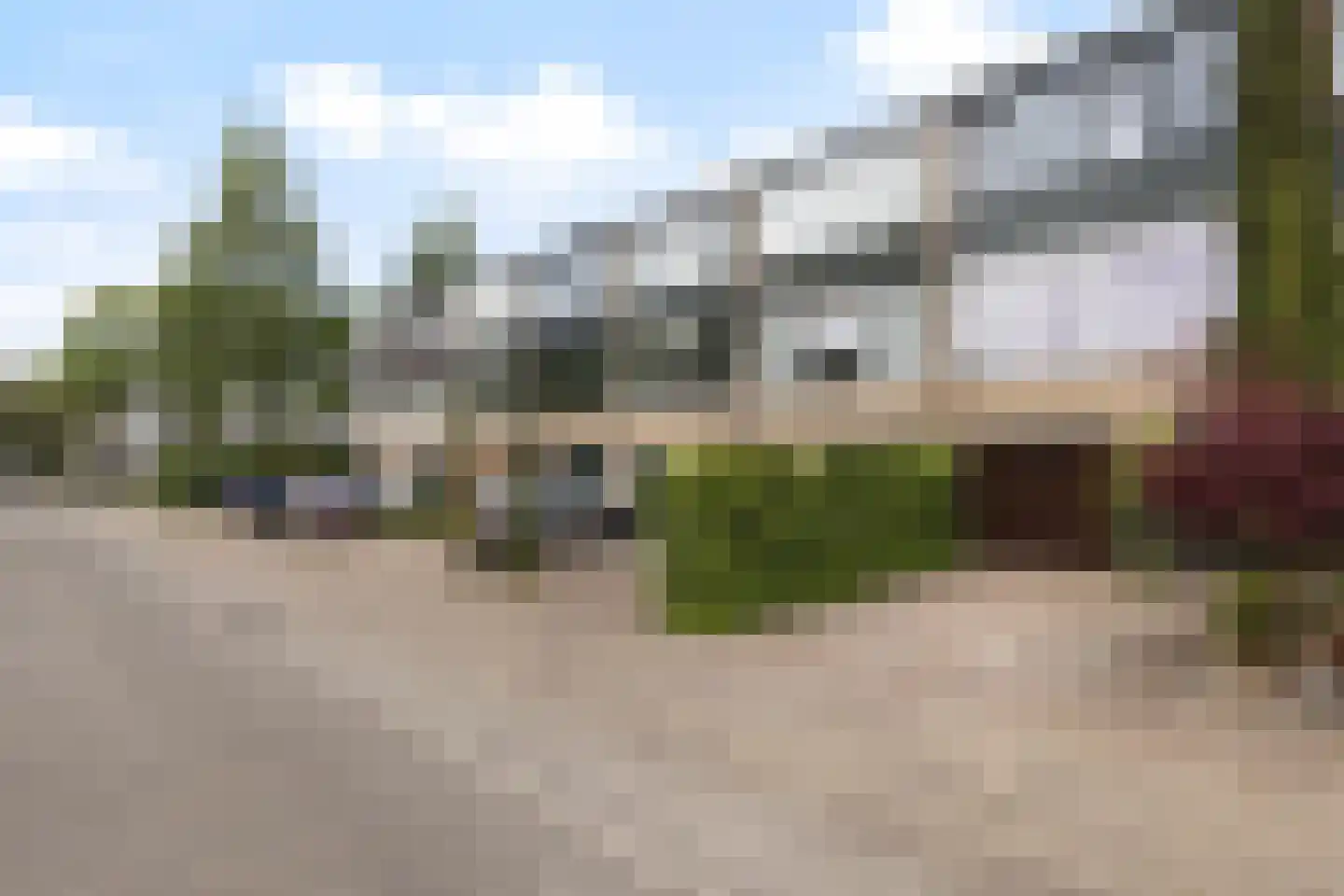 Passiebloem 14 Rotterdam thumbnail 27