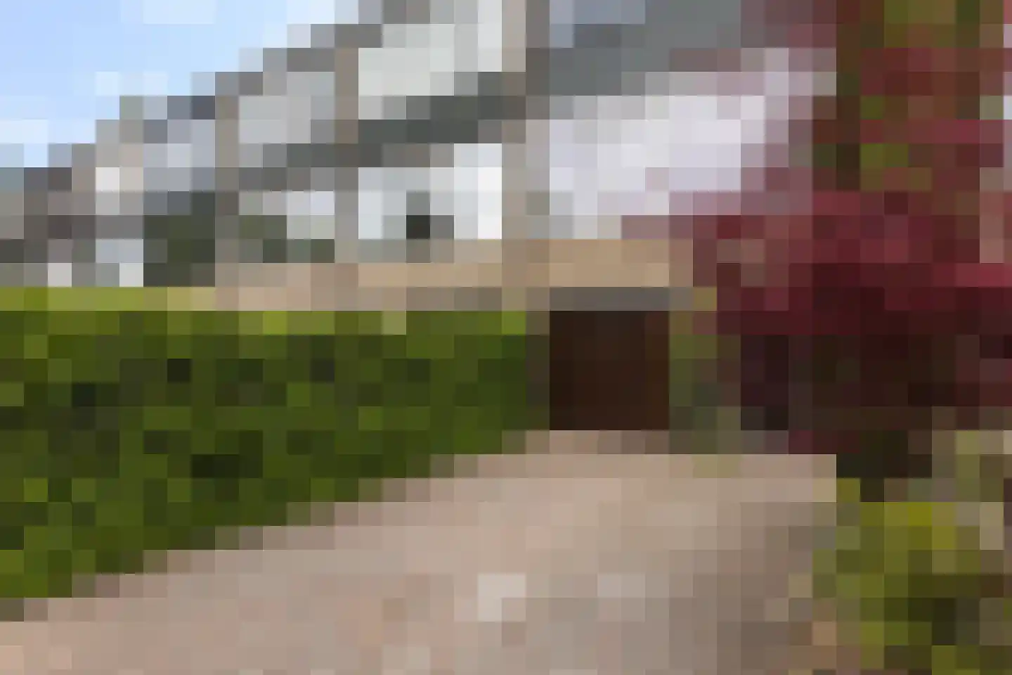Passiebloem 14 Rotterdam thumbnail 28