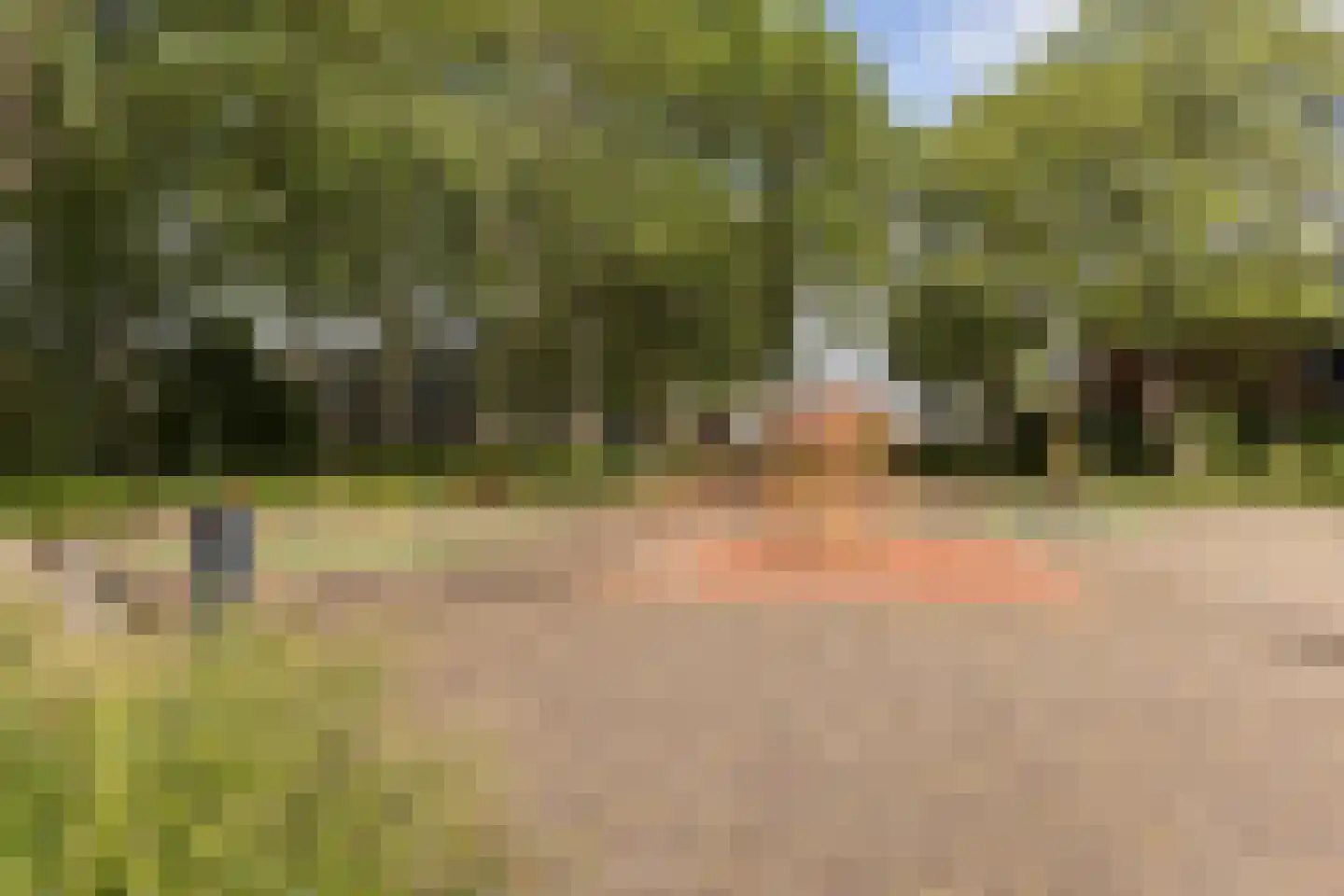 Passiebloem 14 Rotterdam thumbnail 29