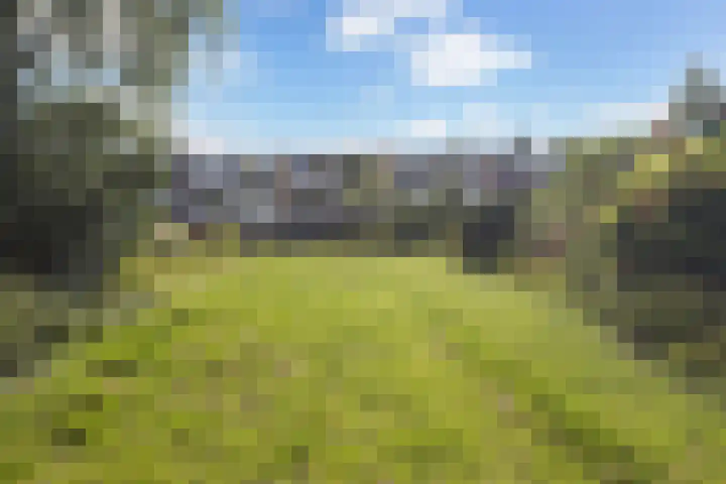 Passiebloem 14 Rotterdam thumbnail 30