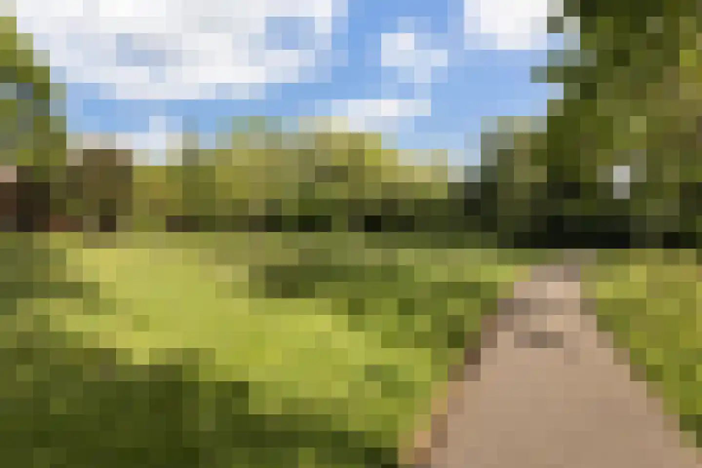 Passiebloem 14 Rotterdam thumbnail 31