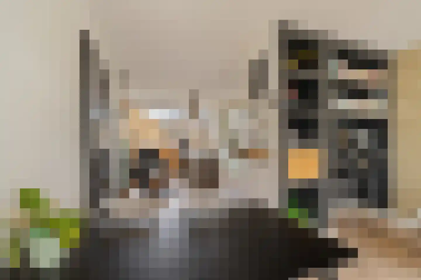 Passiebloem 28 Rotterdam thumbnail 10
