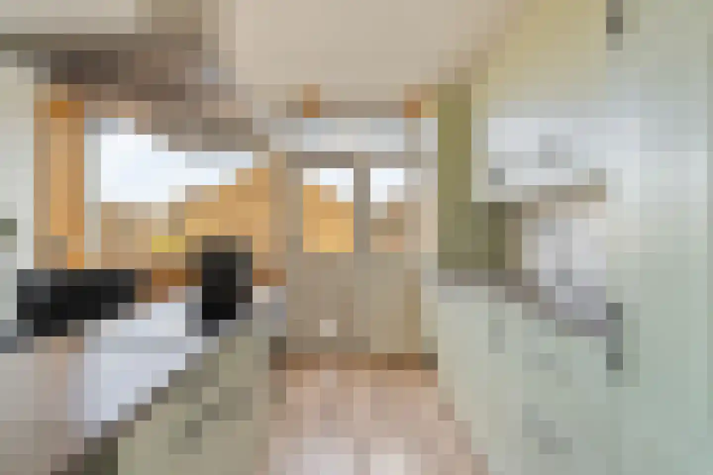 Passiebloem 28 Rotterdam thumbnail 15