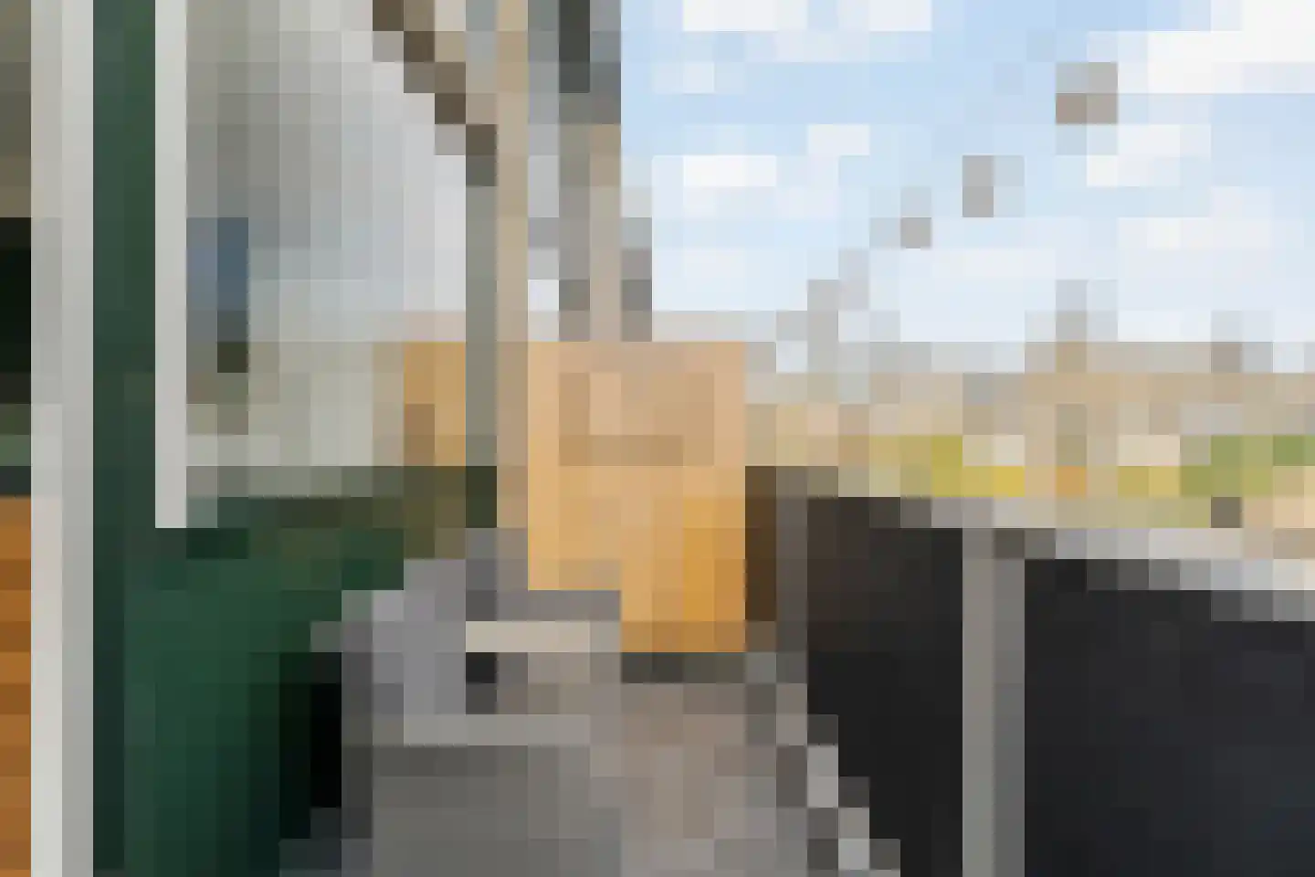Passiebloem 28 Rotterdam thumbnail 17