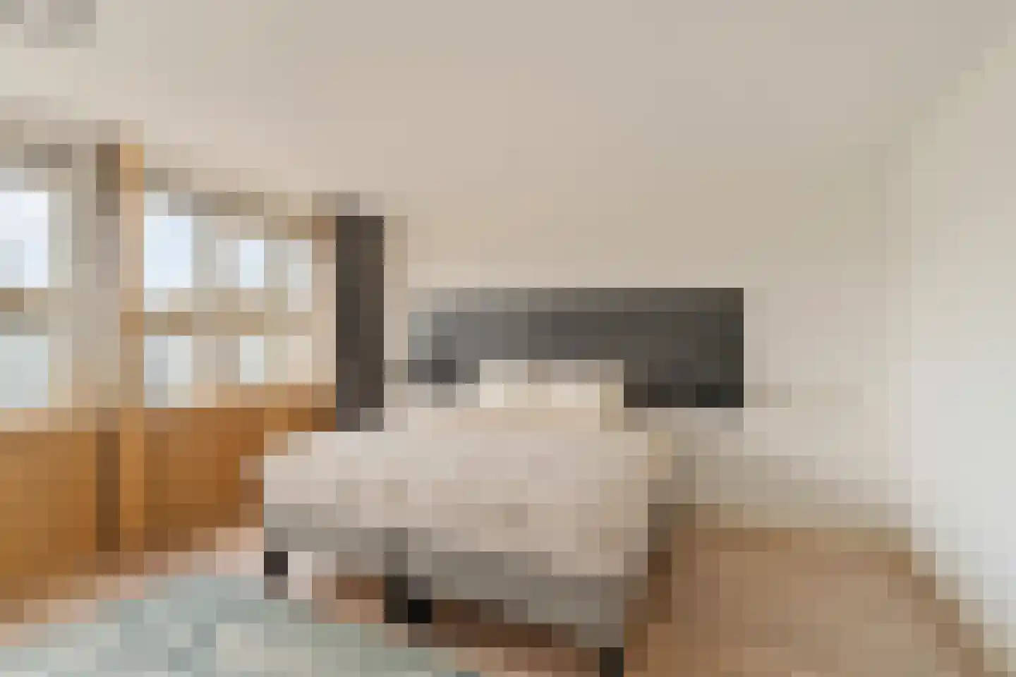 Passiebloem 28 Rotterdam thumbnail 20