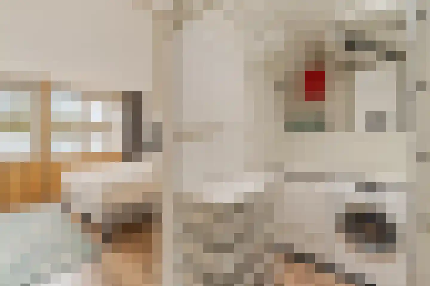 Passiebloem 28 Rotterdam thumbnail 24