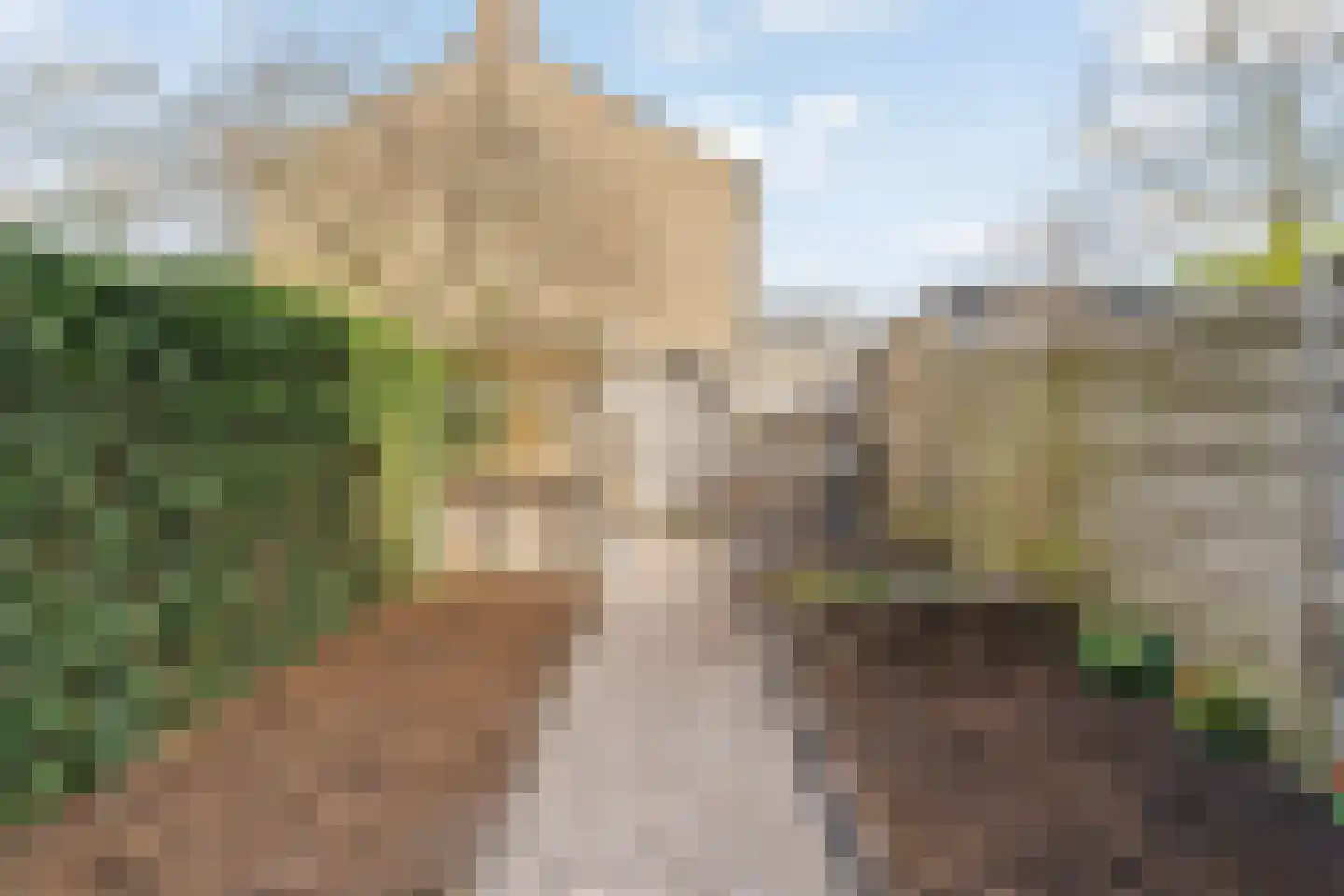 Passiebloem 28 Rotterdam thumbnail 33