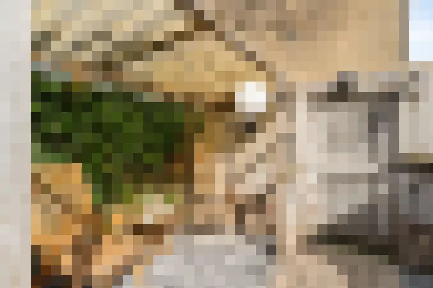 Passiebloem 28 Rotterdam thumbnail 34