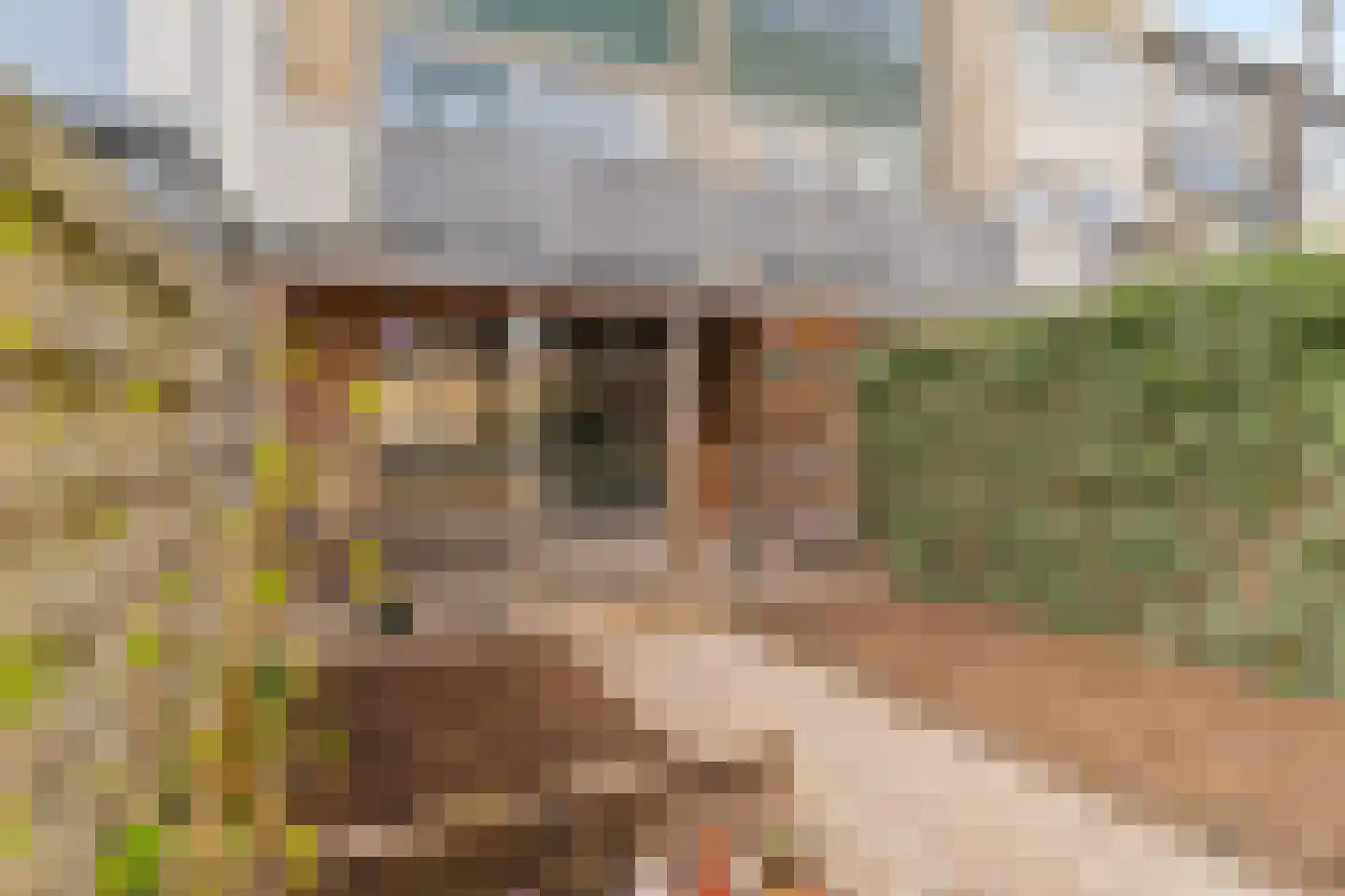 Passiebloem 28 Rotterdam thumbnail 36