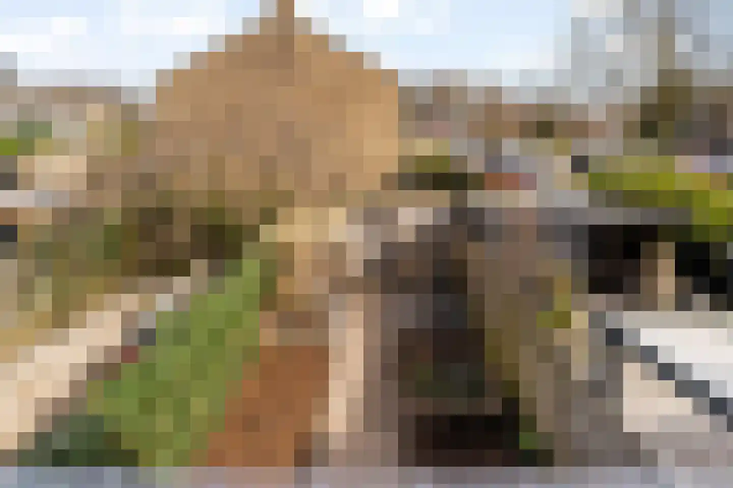 Passiebloem 28 Rotterdam thumbnail 37