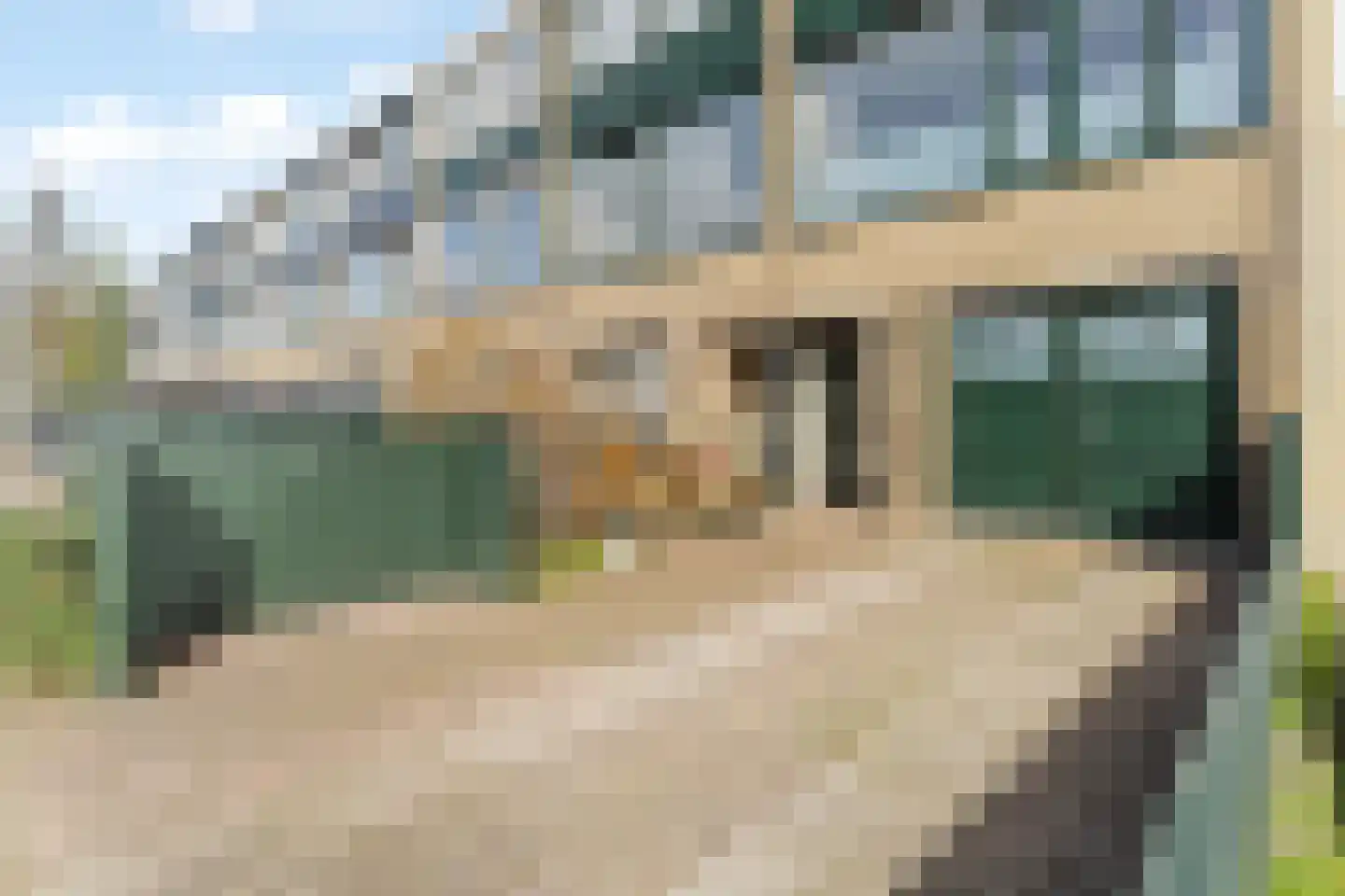 Passiebloem 28 Rotterdam thumbnail 5