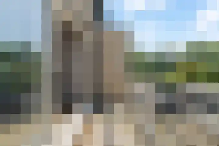 Passiebloem 39 Rotterdam thumbnail 10