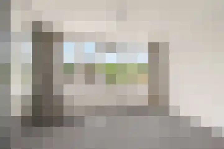 Passiebloem 39 Rotterdam thumbnail 13