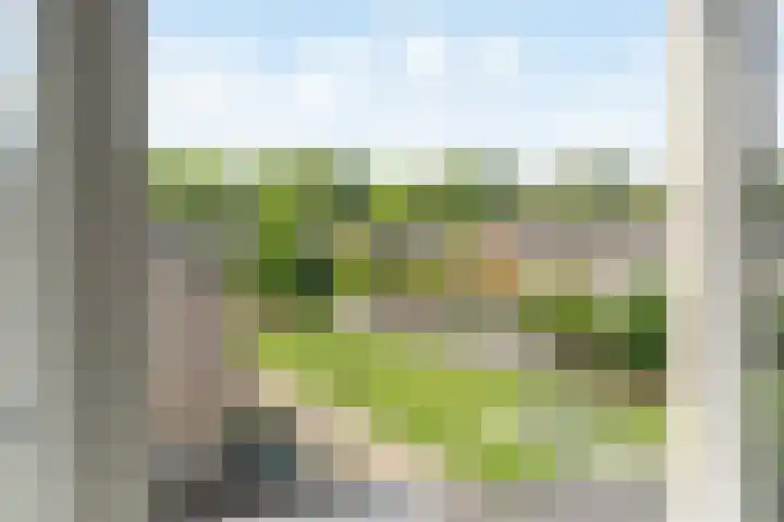 Passiebloem 39 Rotterdam thumbnail 14