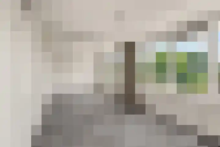 Passiebloem 39 Rotterdam thumbnail 15
