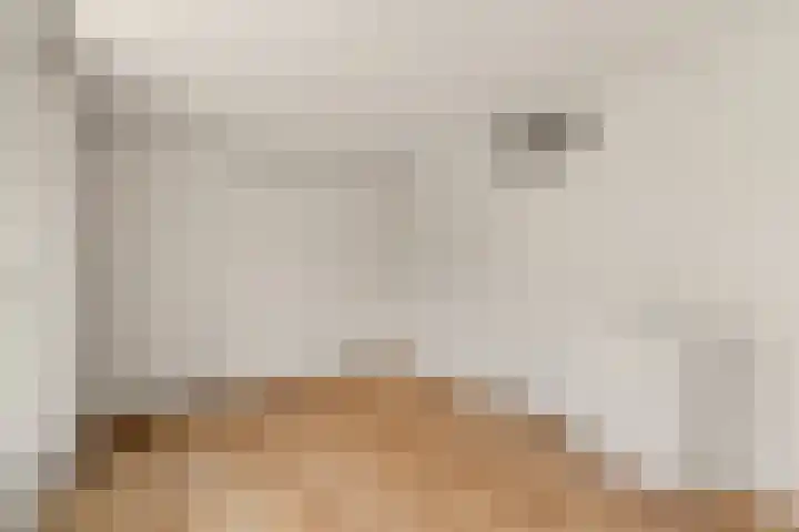 Passiebloem 39 Rotterdam thumbnail 23