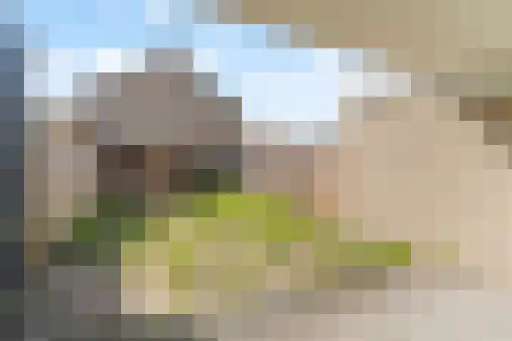 Passiebloem 39 Rotterdam thumbnail 27