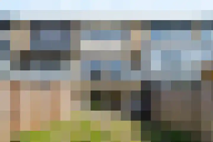 Passiebloem 39 Rotterdam thumbnail 28