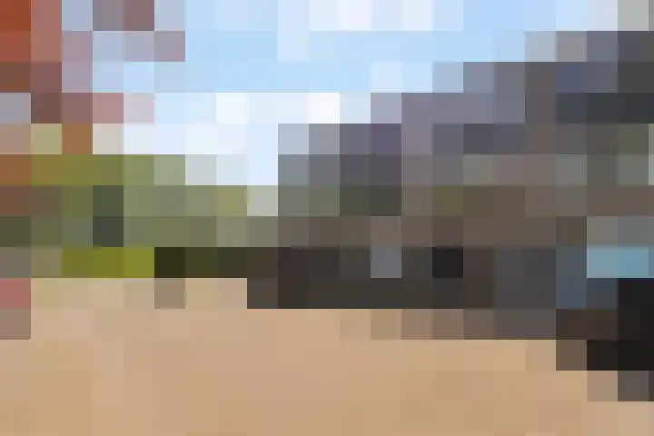 Passiebloem 39 Rotterdam thumbnail 30