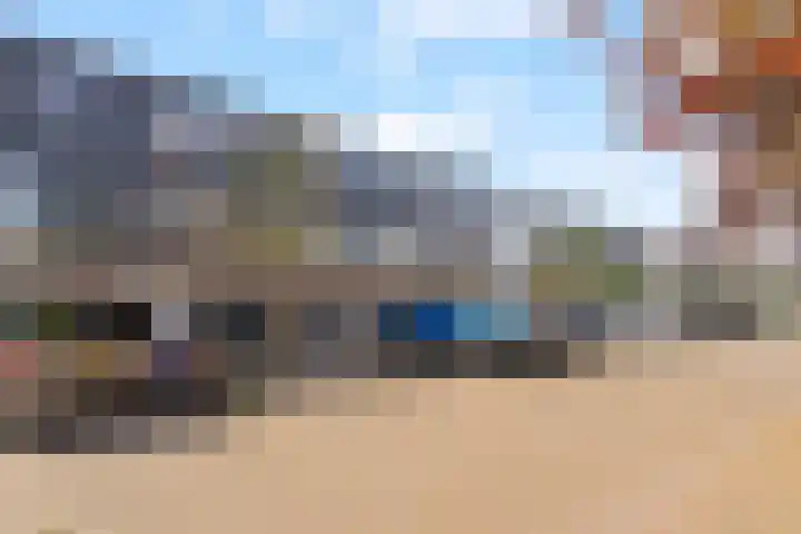 Passiebloem 39 Rotterdam thumbnail 4