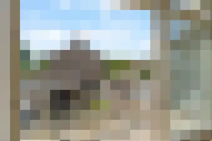 Passiebloem 39 Rotterdam thumbnail 9