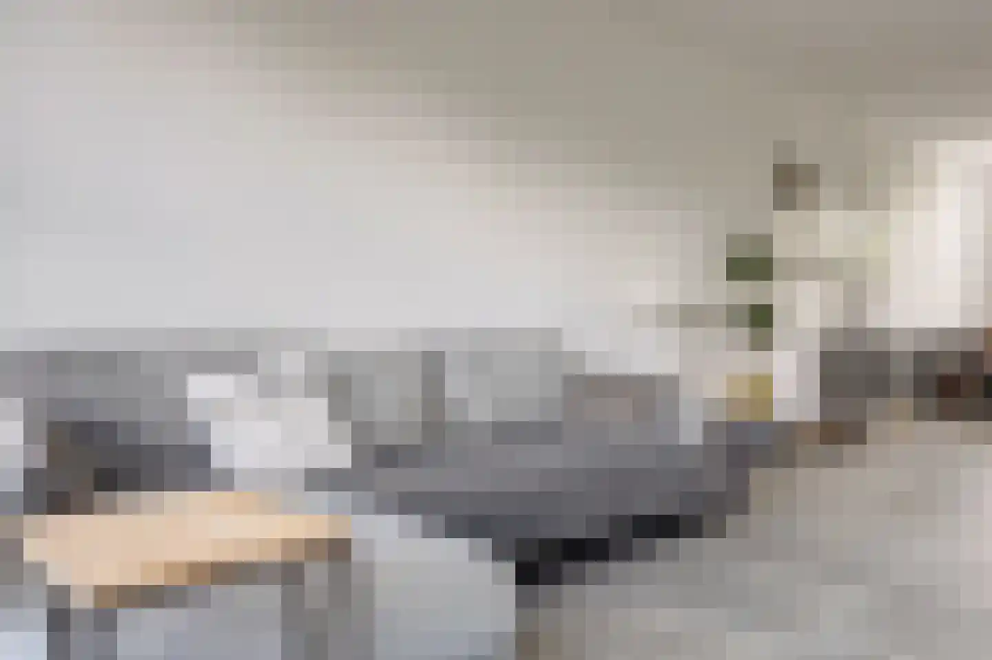 Passiebloem 40 Rotterdam thumbnail 14