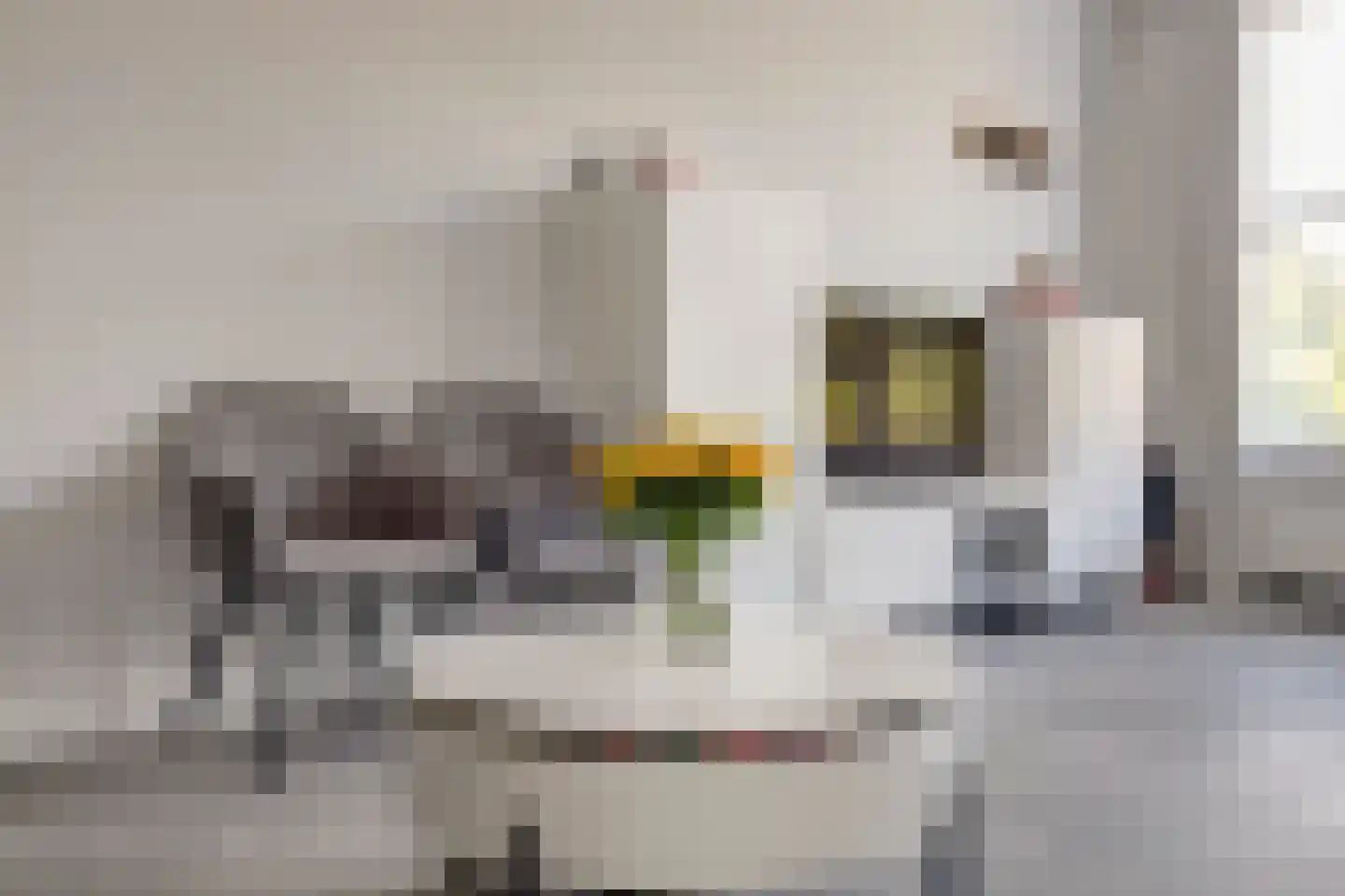 Passiebloem 40 Rotterdam thumbnail 15