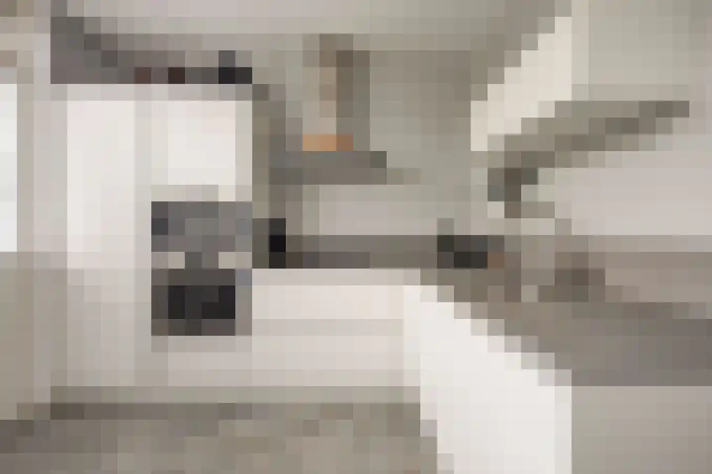 Passiebloem 40 Rotterdam thumbnail 16