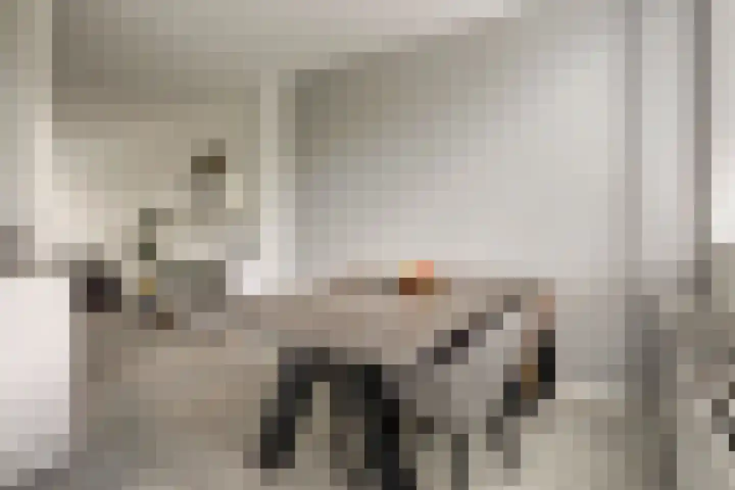 Passiebloem 40 Rotterdam thumbnail 18