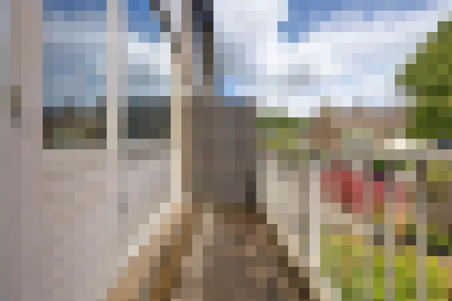 Passiebloem 40 Rotterdam thumbnail 19