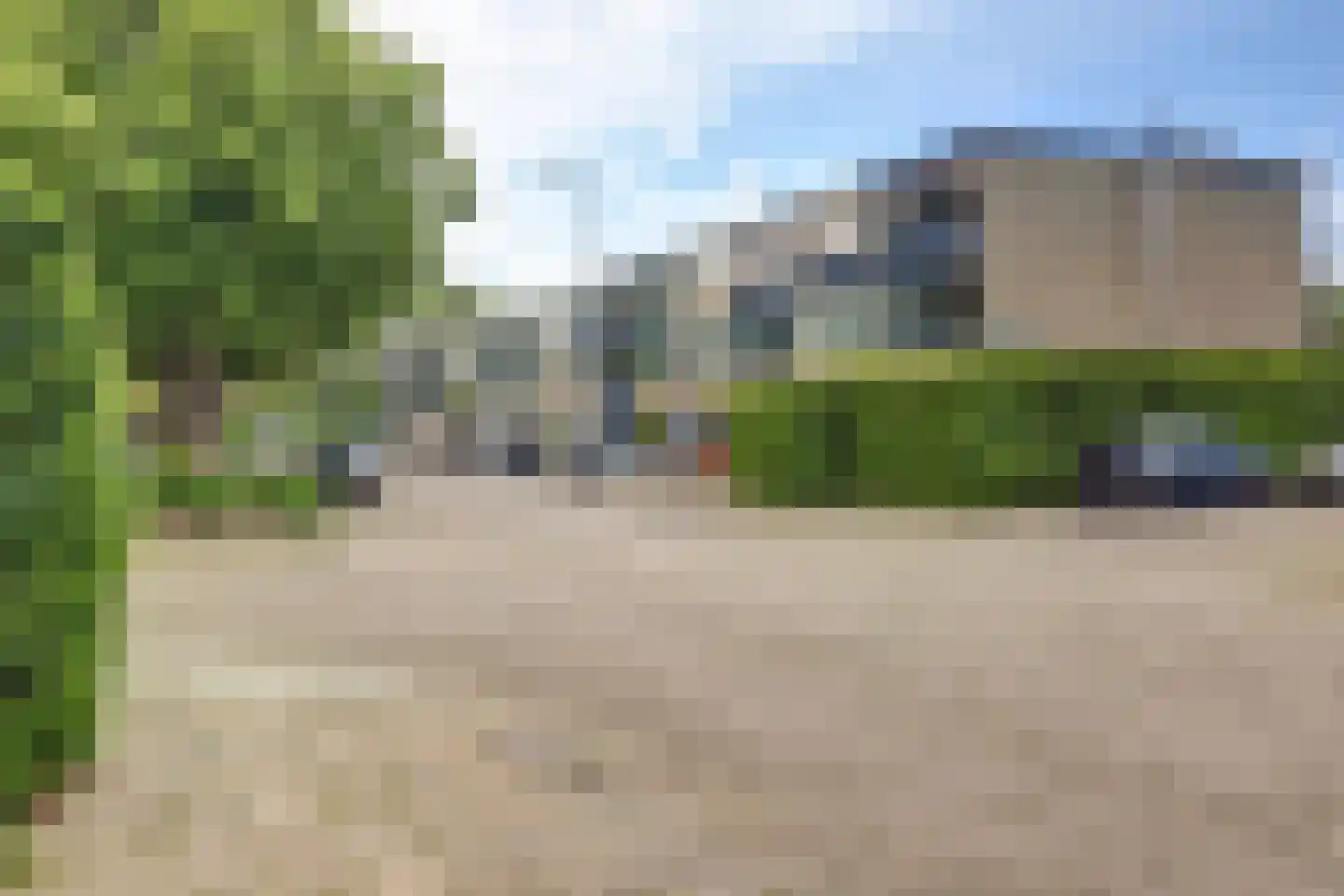 Passiebloem 40 Rotterdam thumbnail 31