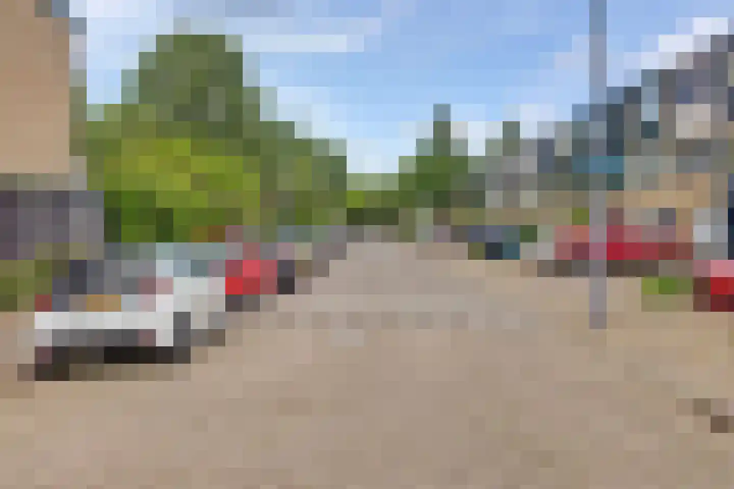 Passiebloem 40 Rotterdam thumbnail 32