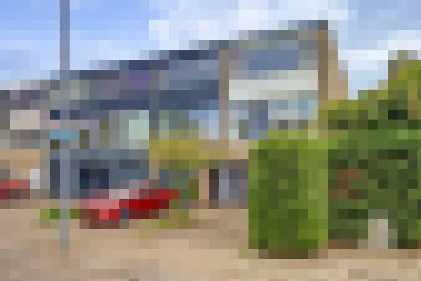 Passiebloem 40 Rotterdam thumbnail 33