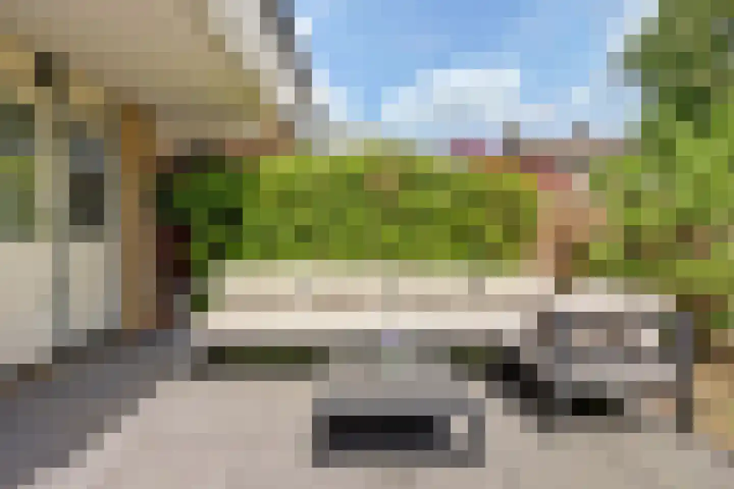 Passiebloem 40 Rotterdam thumbnail 38