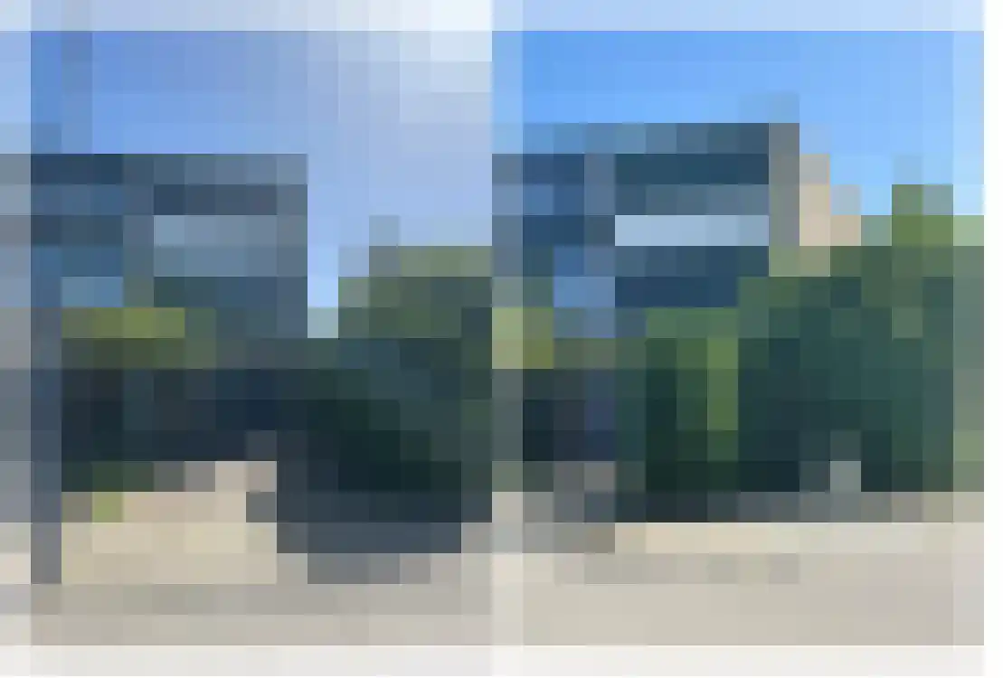 Passiebloem 40 Rotterdam thumbnail 41