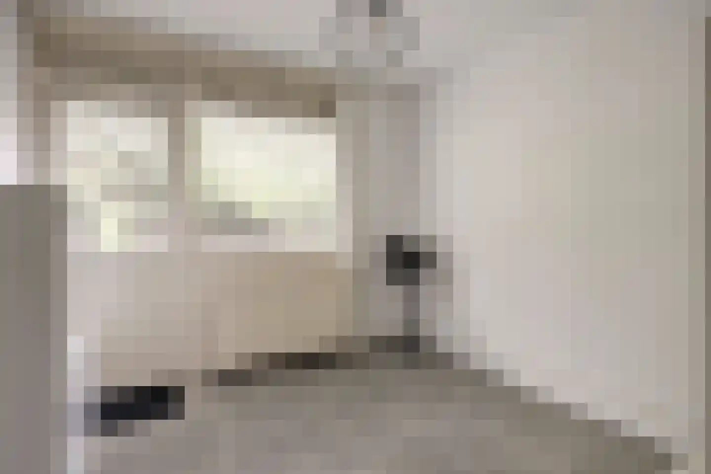 Passiebloem 40 Rotterdam thumbnail 6