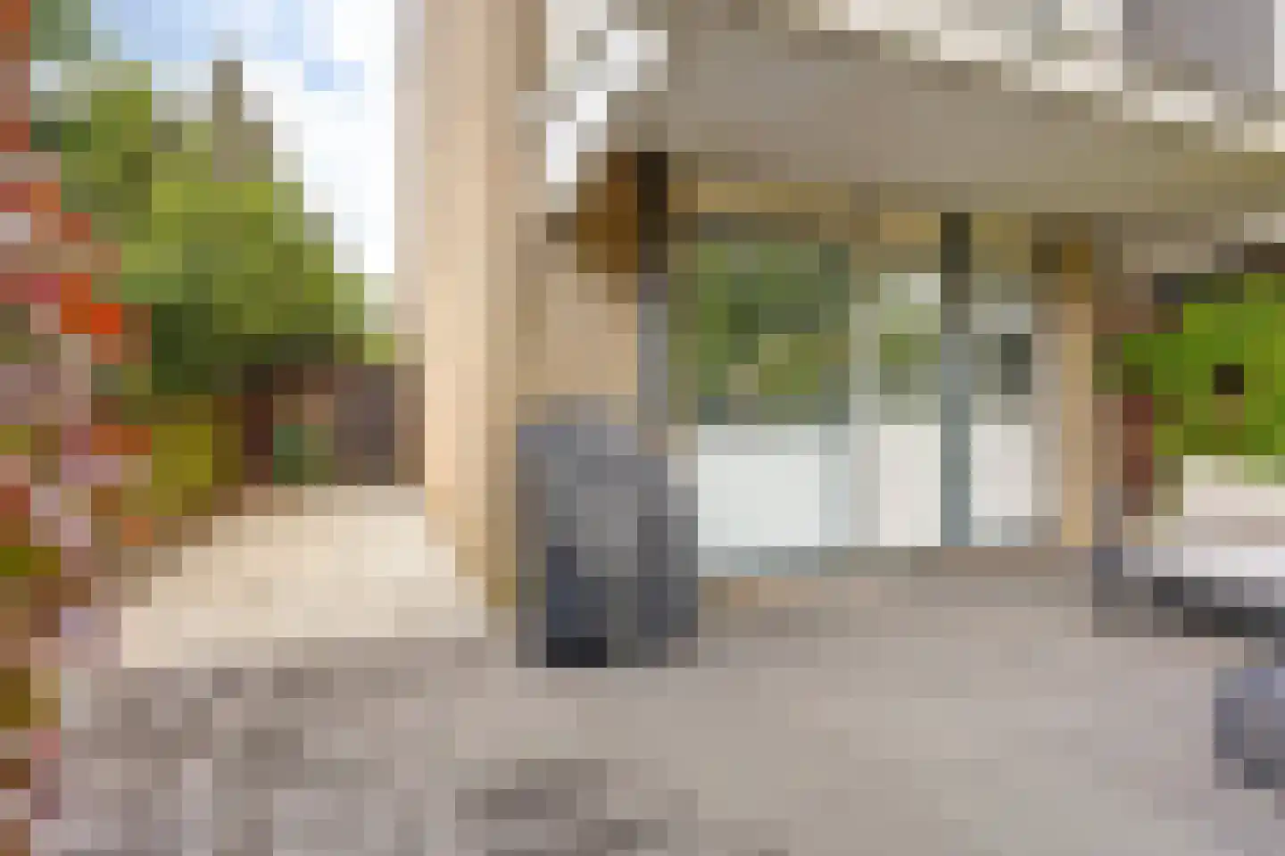 Passiebloem 40 Rotterdam thumbnail 8