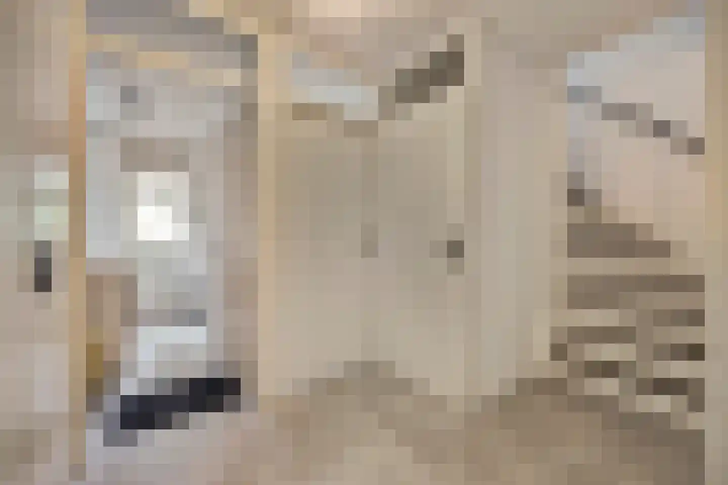 Passiebloem 40 Rotterdam thumbnail 9
