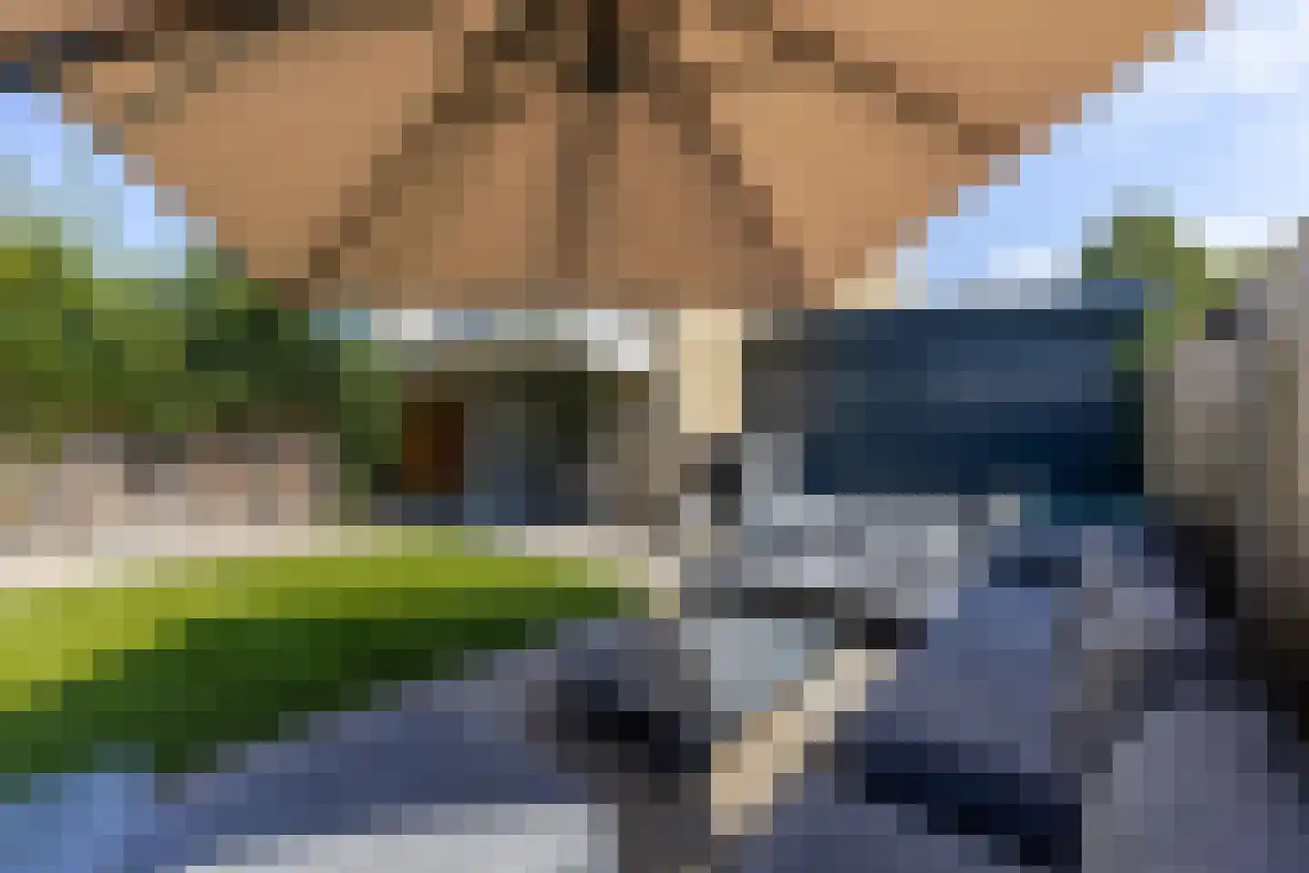 Passiebloem 43 Rotterdam thumbnail 13