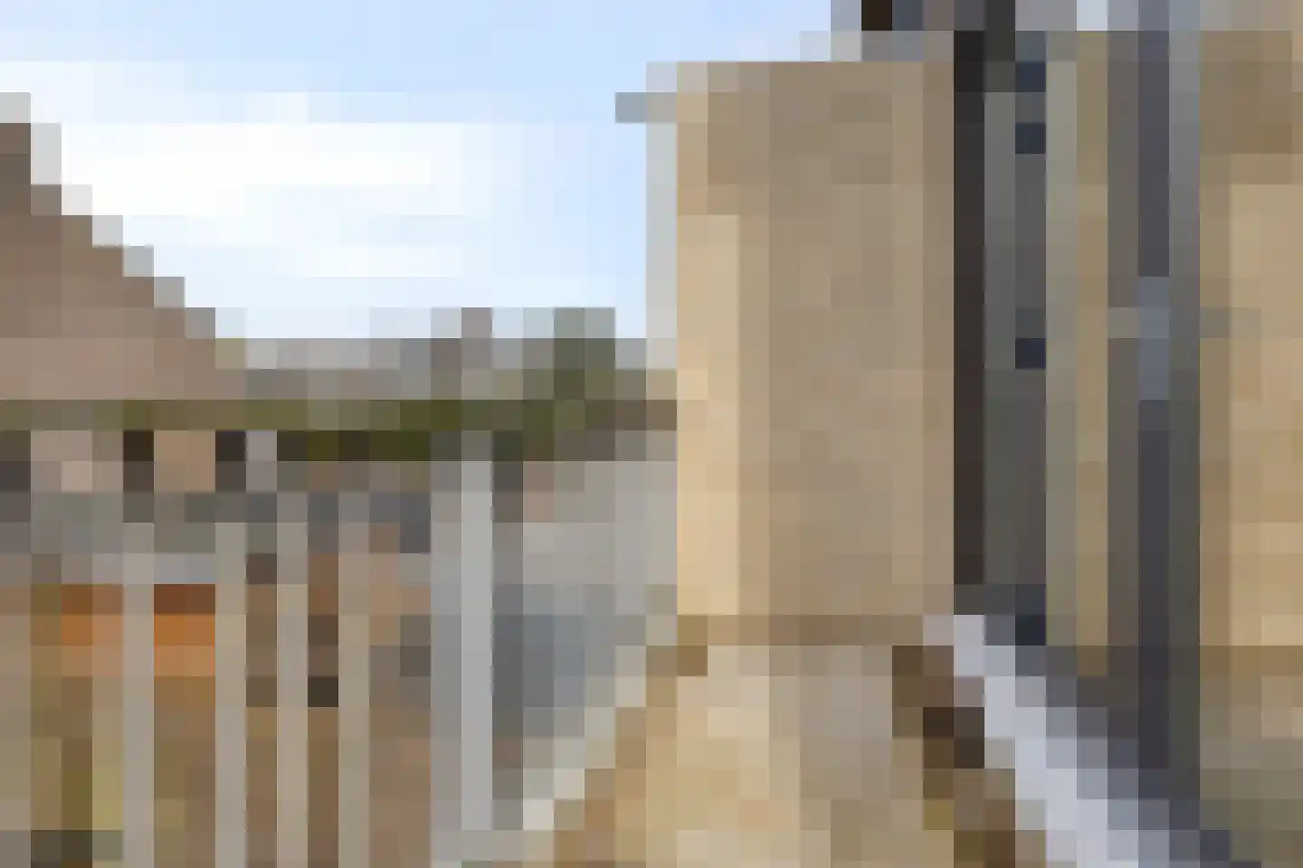 Passiebloem 43 Rotterdam thumbnail 16