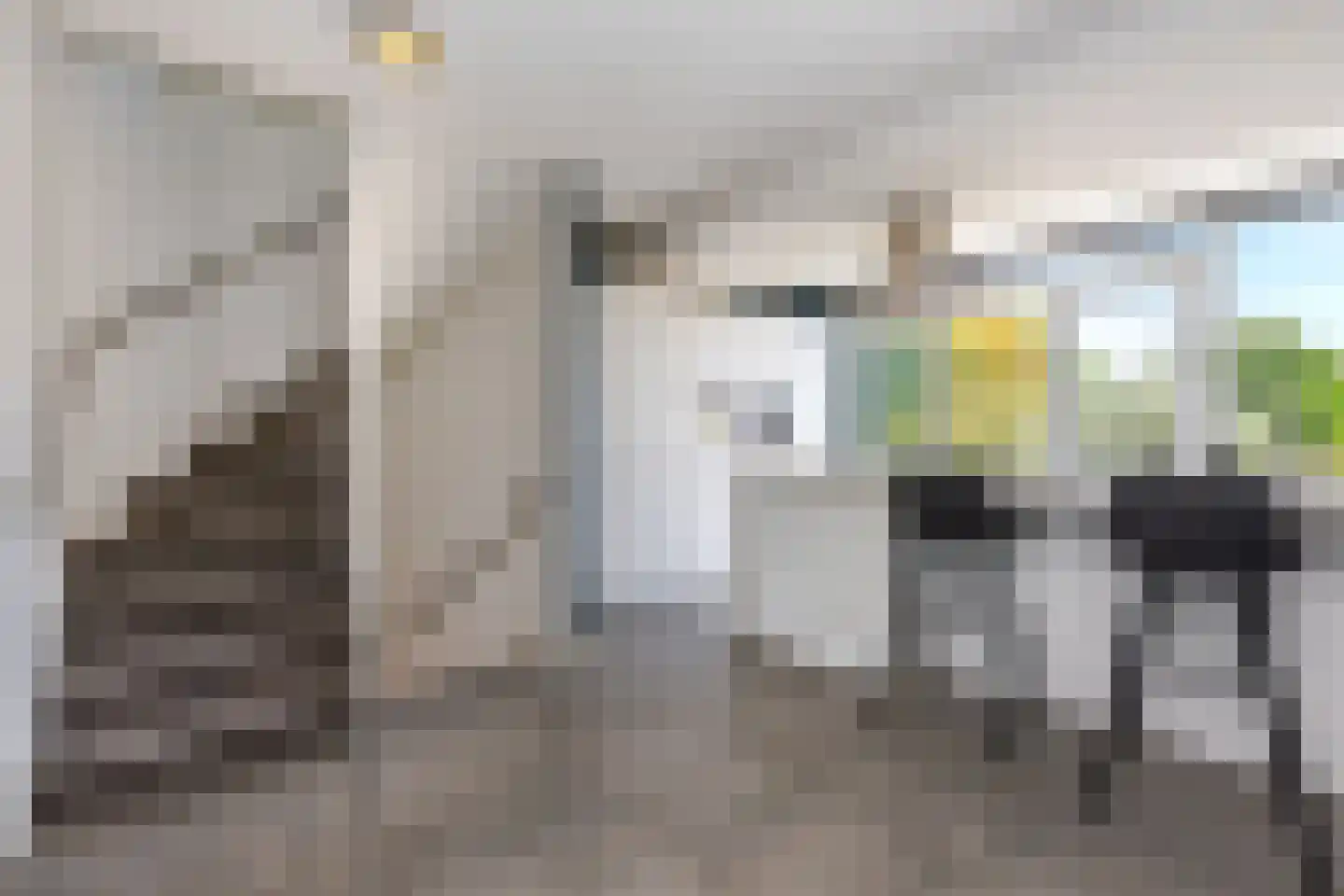 Passiebloem 43 Rotterdam thumbnail 16